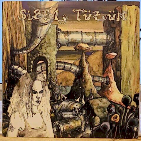 Sibel Tüzün – Hayat Buysa Ben Yokum Bu Yolda LP PLAK