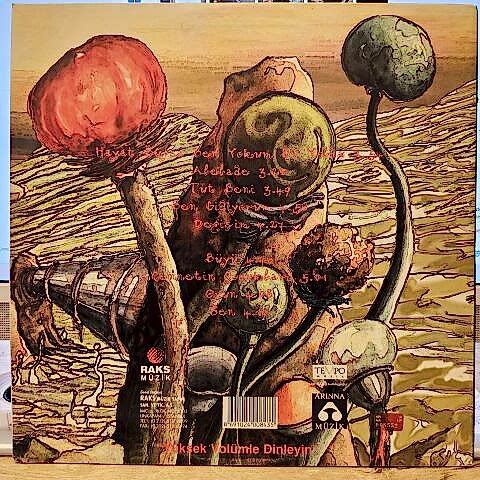 Sibel Tüzün – Hayat Buysa Ben Yokum Bu Yolda LP PLAK