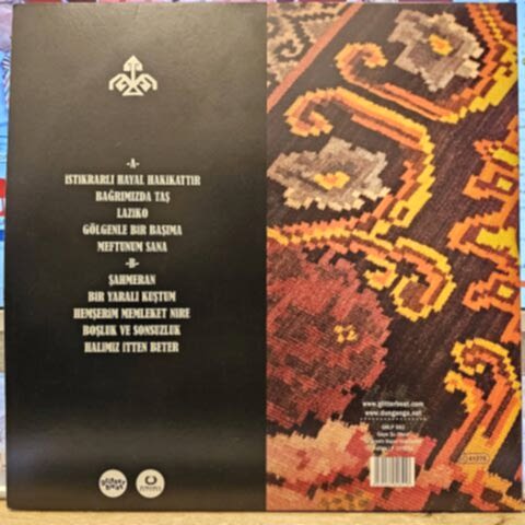 Gaye Su Akyol – İstikrarlı Hayal Hakikattir LP PLAK