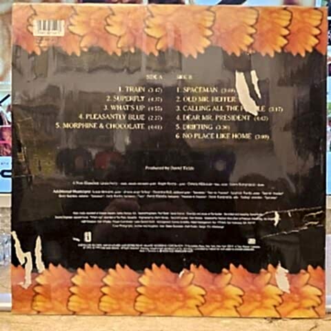 4 Non Blondes – Bigger, Better, Faster, More! LP PLAK