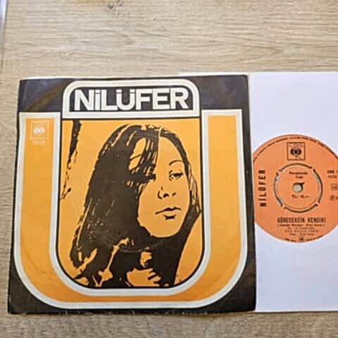 Nilüfer – Göreceksin Kendini / Aldanırım Sanma 45LİK PLAK